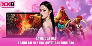 Đá Gà Cựa Dao - Tranh Tài Nảy Lửa, Quyết Đấu Đỉnh Cao